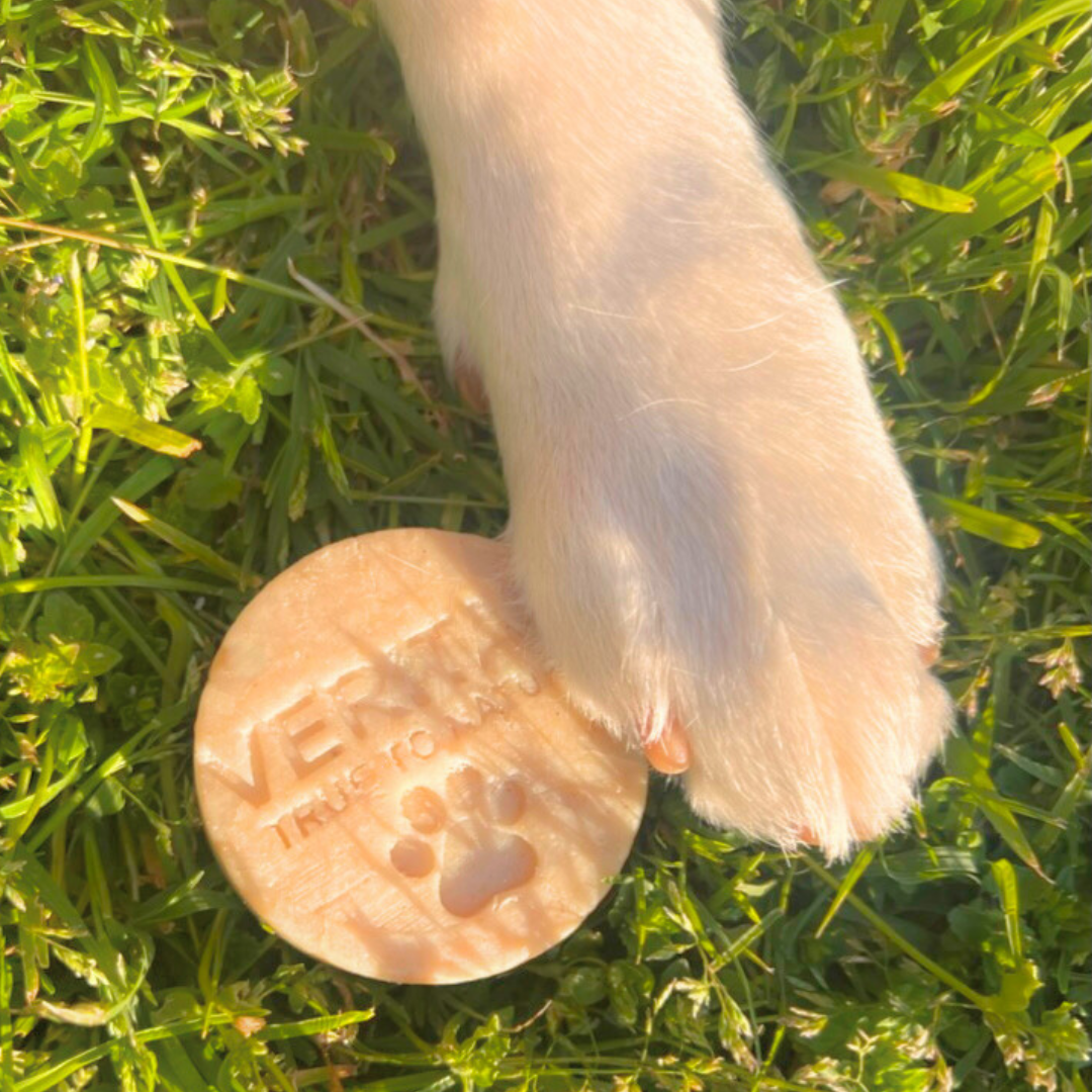 Soothe Solid Shampoo
