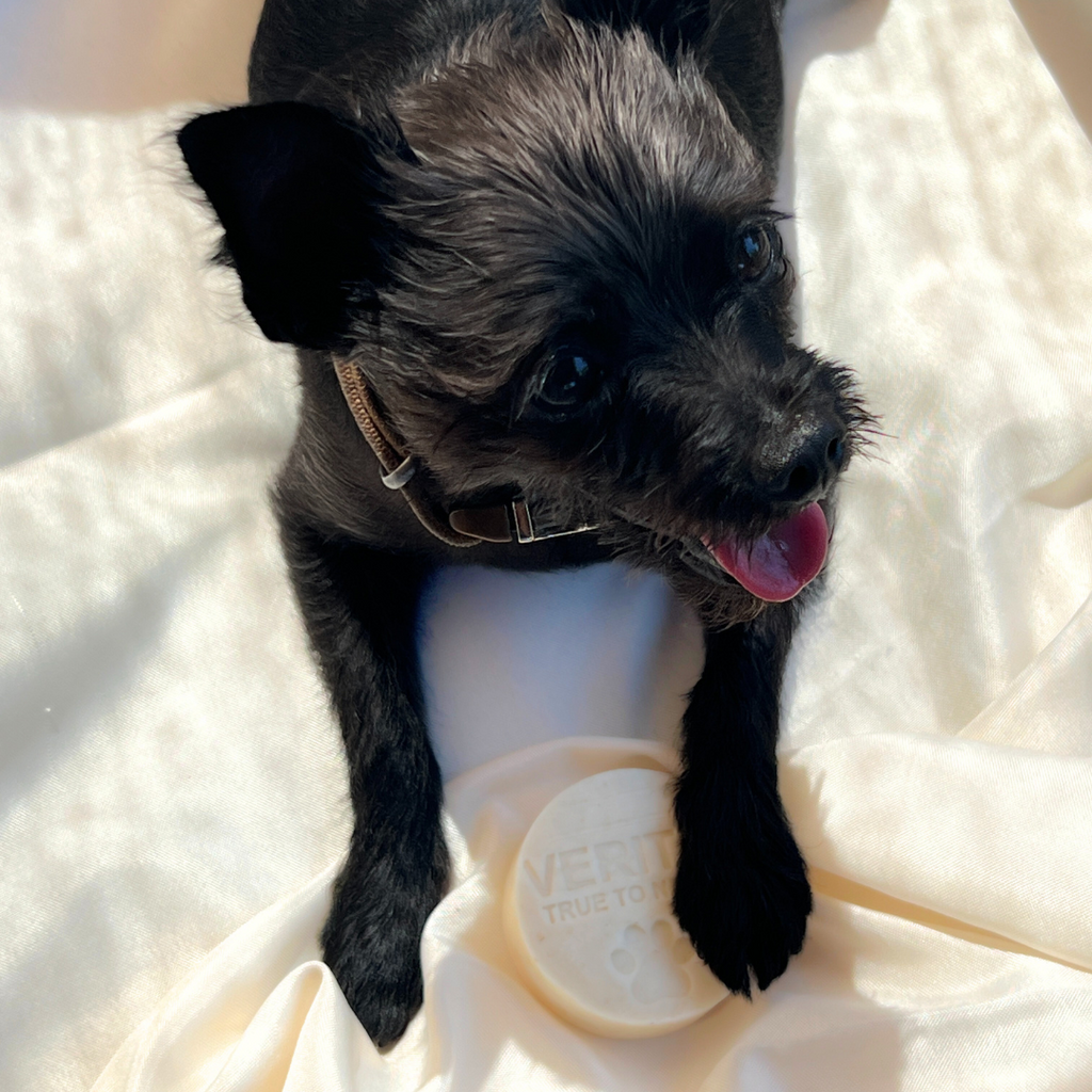 Pet Shampoo - Bubble Bath