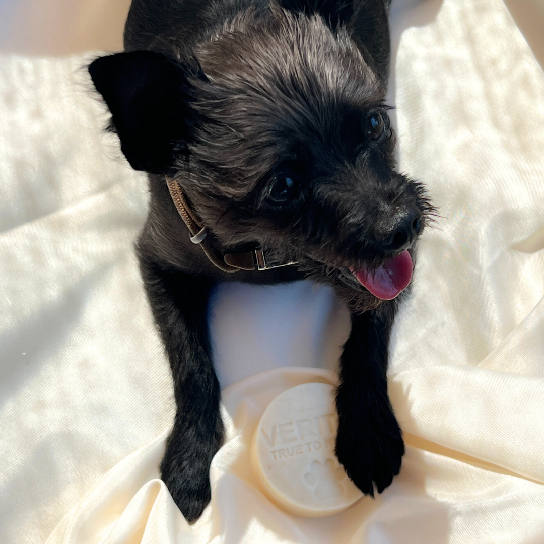 Pet Shampoo - Bubble Bath