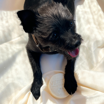 Champú para mascotas - Baño de burbujas